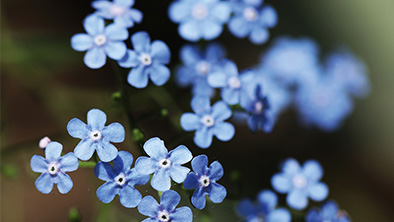 Spannende schaduwzoekers